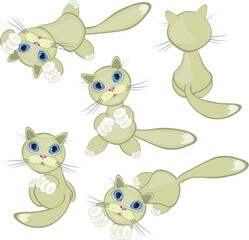 Wall Mural - Cat set. Vector illustration on white background for design.