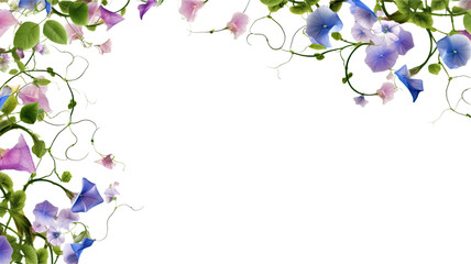 Wall Mural - whimsical morning glory vines as a frame border, isolated with negative space for layouts