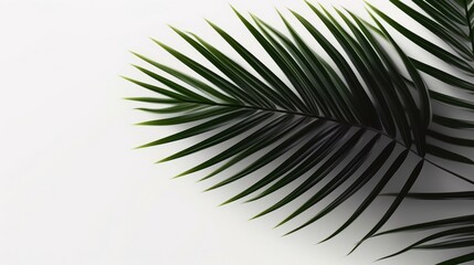 Poster - A vibrant green palm leaf in close-up detail. Generative ai