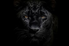Black Panther Close-up Face On Black Background. Generative AI