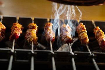 Canvas Print - Grilled lamb skewers over charcoal	