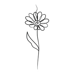 Wall Mural - Continuous one line art drawing of beauty daisy flower