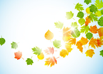 Wall Mural - autumn background