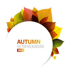 Poster - Autumn abstract floral background with place for your text