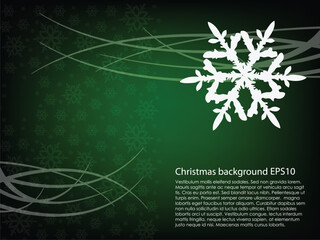 Wall Mural - Vector christmas decoration background with snow flakes