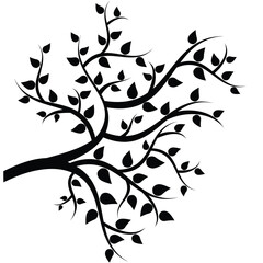 Poster - Leaves on the tree branches