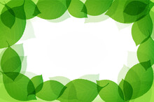 Vector Green Frame From Leaves
