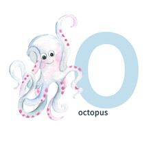 Letter O, Octopus, Cute Kids Animal ABC Alphabet. Watercolor Illustration Isolated On White Background. Can Be Used For Alphabet Or Cards For Kids Learning English Vocabulary And Handwriting