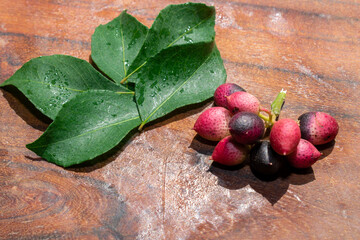 Poster - Fresh curry leaves (Murraya koenigii) on wooden background