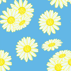 Poster - Seamless texture of chamomile. Illustration of the designer on blue background
