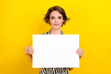 Photo of cheerful positive lady wear animal print shirt holding placard empty space isolated yellow color background