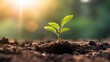 © matteo - Green seedling illustrating concept of new life and ecology with sunbeams. generative AI