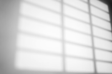 Aufkleber - natural window light overlay