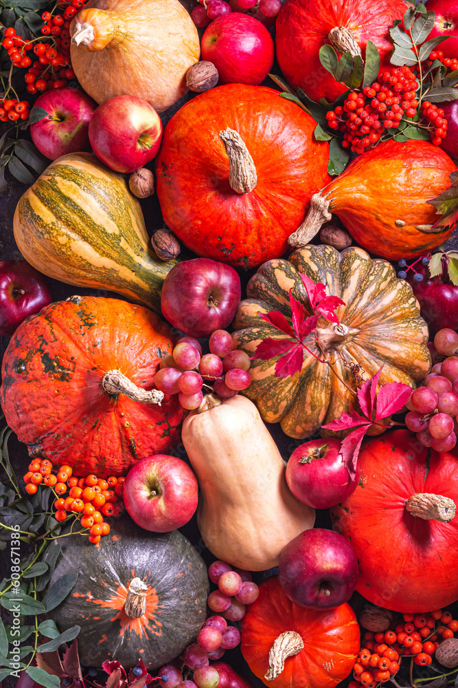 Autumn background with seasonal fruits and vegetables, top view, flat ...