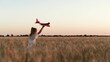 © Валерий Зотьев - little child girl kid daughter runs through wheat field with toy plane her hand, happy family dream fly, child aviator runs, cheerful child runs through wheat field, childhood everywhere, happy girl