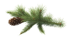 Spruce Branch Winter. Green Fir. Realistic Christmas Tree Llustration For Xmas Cards, New Year Party Posters Isolated Transparent Png Background. Generative Ai