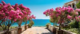 Fototapeta Sypialnia - Beautiful resort promenade with blooming colorful oleanders against backdrop of Mediterranean Sea and blue sky.