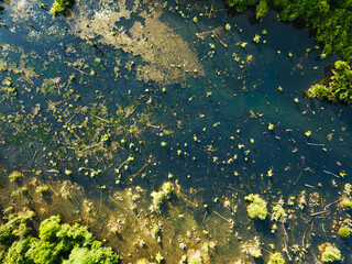 Wall Mural - Aerial view top down Drone view over swamp or lake in sunrise or sunset time, Amazing nature view in the morning at Klong root lake Krabi Thailand