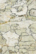 © ADDICTIVE STOCK - Textured surface of marble stone