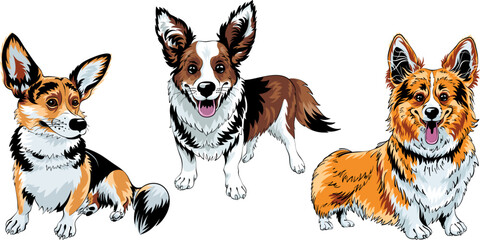 Wall Mural - Set of color sketches of dog Welsh corgi breed smiling