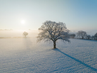 winter morning landscape
