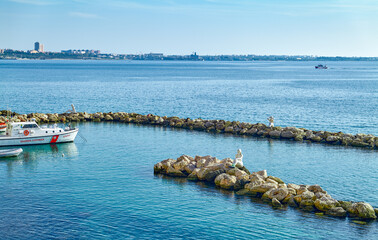 Wall Mural - Taranto and its monuments by the sea