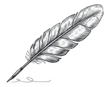 Feather Quill Pen Graphic Black White Isolated Sketch Illustration Vector