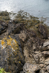 Canvas Print - Rocks and ocean