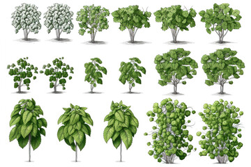 Poster - drawing of trees isolated on white background. Generated by AI.