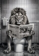 Leinwandbild Motiv Lion sit on the toilet, leo sitting on the potty, restroom humor,
black and white