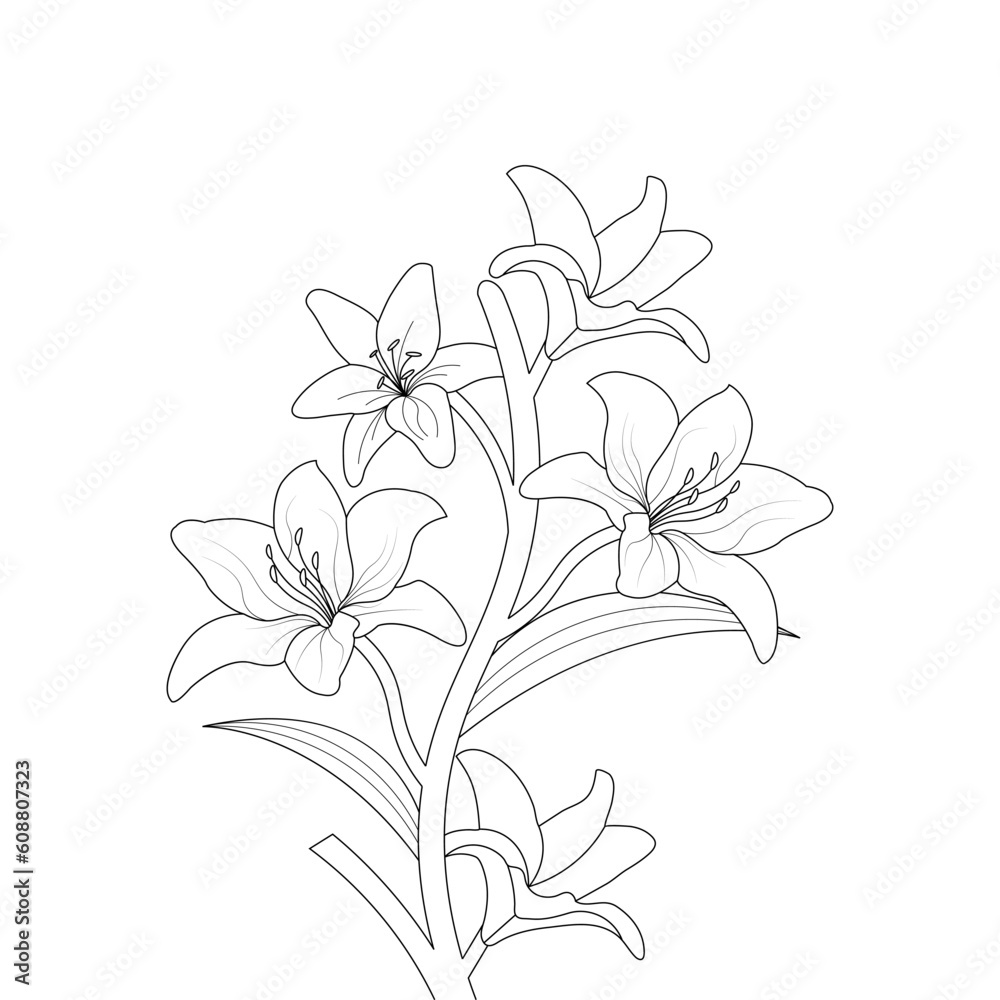 Lily Flower Coloring page Hand Drawn illustration With Line Art Stock ...