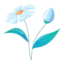 A Spring Wild Flower With Blue Petals And A Bud, Leaves, Floral Blooming Herbaceous Plant. Botanical Flat Vector Illustration Isolated On White Background