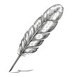 Feather quill dip pen in vintage engraving style. Hand drawn sketch illustration