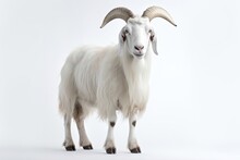 Portrait Of A Goat Full Body, Generative A.i