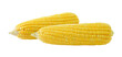 corn on transparent png
