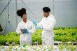 © laddawan - Biologist puts sprout in test tube for laboratory analyze. Two scientists stand in organic farm. check, laboratory in greenhouse. .