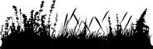 Lawn Plant Grass Silhouette
