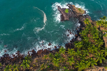 Wall Mural - Aerial top view on tropical beach with green palm trees under sunlight Drone view in Goa