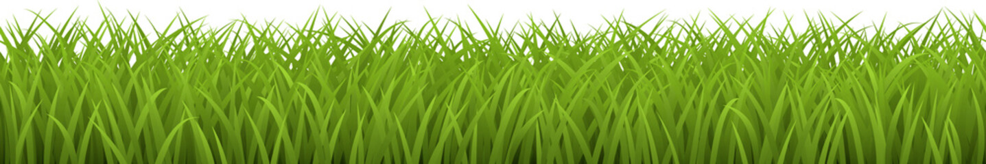 Grass seamless border, png isolated on transparent background.