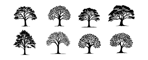 Big trees silhouette elements isolated on white background. Forest tree branch set. Vector illustration
