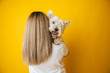 portrait of a beautiful young girl with a dog in her arms on a yellow background, the girl hugs her pet west highland white terrier, copy space
