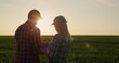 © StockMediaSeller - A couple of happy successful farmers communicate near a wheat field at sunset. Use a tablet
