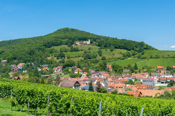 Wall Mural - Weinberglandschaft mit Ortsbild von Leinsweiler, im Hintergrund der Slevogthof. Region Pfalz im Bundesland Rheinland-Pfalz in Deutschland