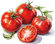 hand drawn cartoon tomato illustration material
