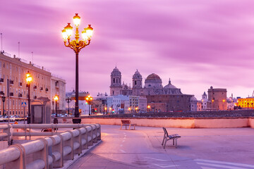 Wall Mural - Cathedral de Santa Cruz in the pink morning in Cadiz, Andalusia, Spain