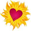 flammende Sonnenblume mit rotem Herz