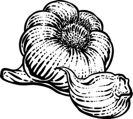 Wall Mural - Garlic vegetable illustration in a vintage retro woodcut etching style.