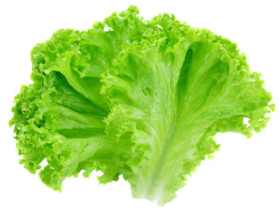 Poster - Salad leaf. Lettuce transparent png.