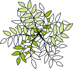 Wall Mural - tree or plant top view for landscape design. icon colored tree for architectural map, plan. green sp