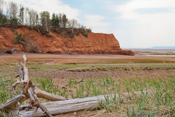 Wall Mural - Red cliff and tidal beach in Thomas cove coastal reserve Nova Scotia Canada